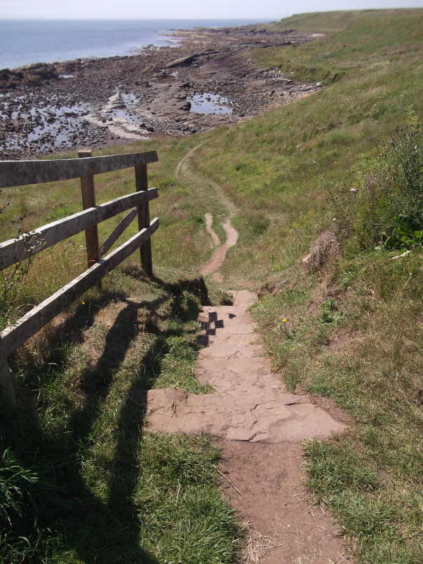 image coastal walk wullie