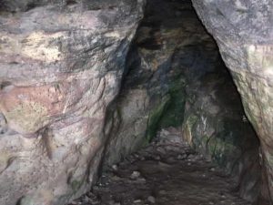 more cave wullie davidson