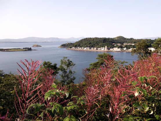 view pulpit hill 1