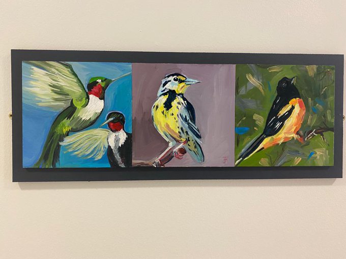 birds project ability