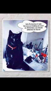 cat protection crow road art exhibition