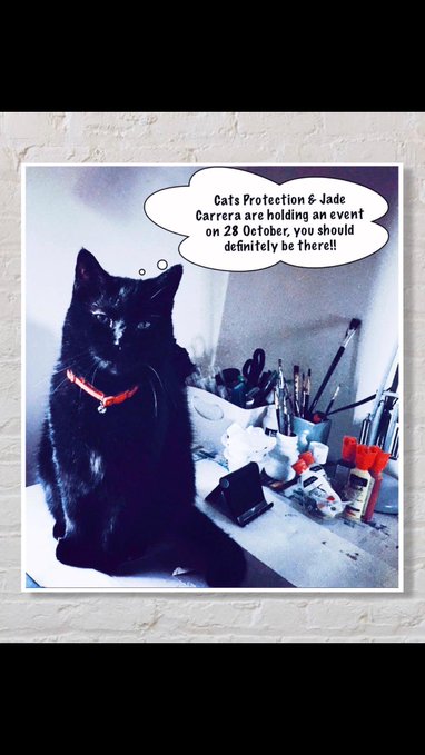 cat protection crow road art exhibition