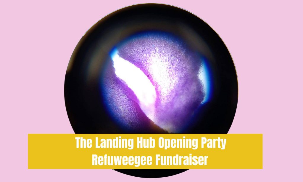 opening event landing hub