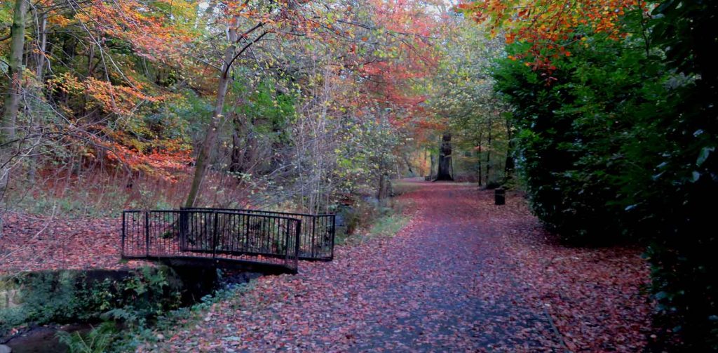 A Bridge in Lusset Glen