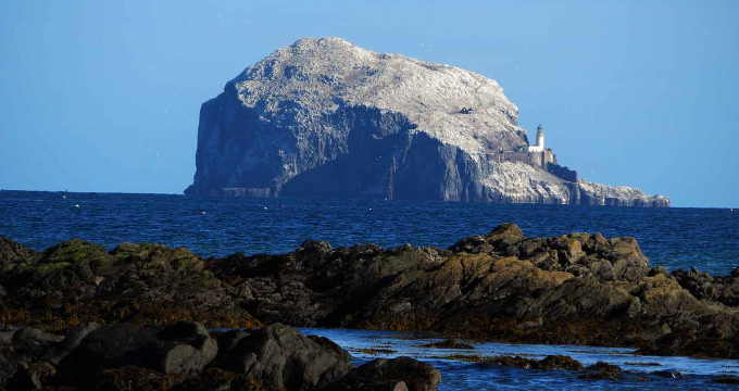 Bass Rock. North Berwick to Gullane Walk