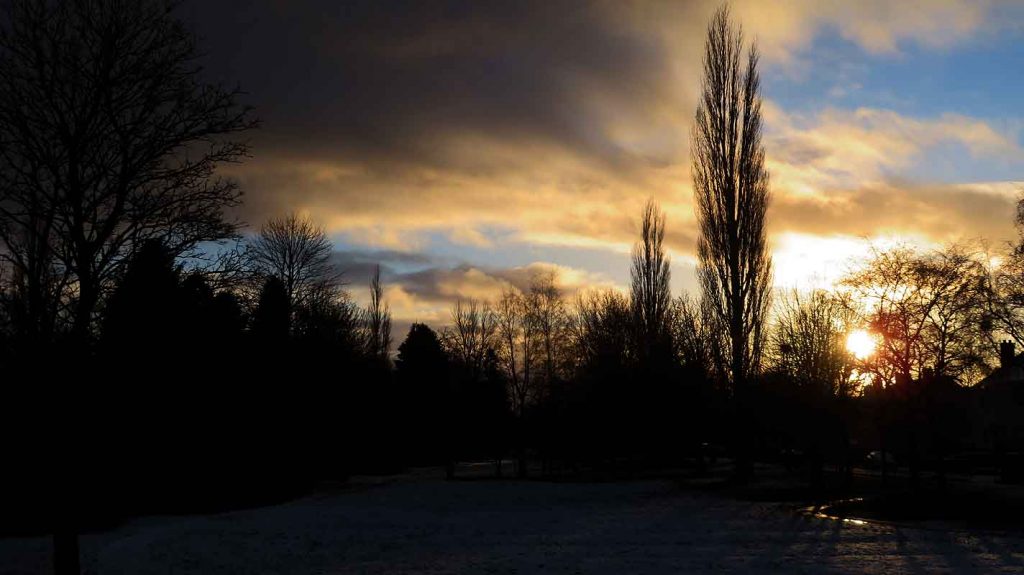 Sunset. Winter Trees