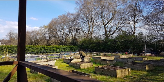 sccan community action south seeds