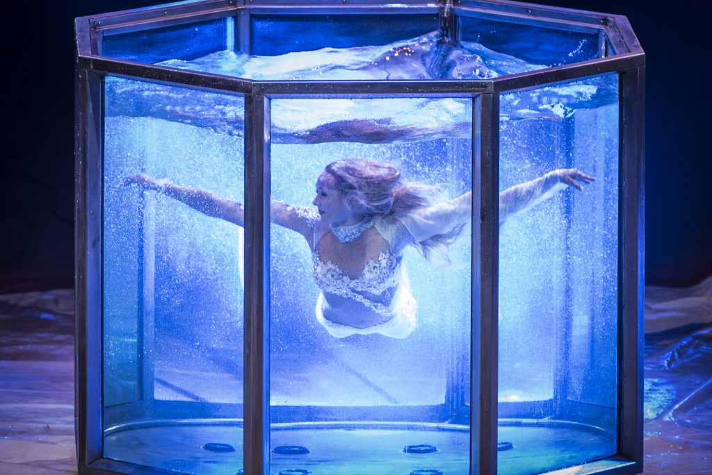 Andrea Giachi 13 circus