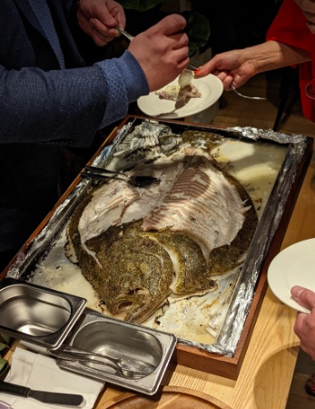 turbot