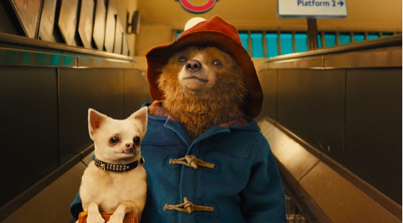 take 2 paddington