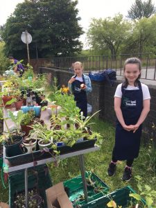young persons pop up plant sale