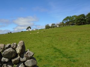 dry stanes