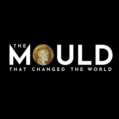 Mould-Logo-Fringe
