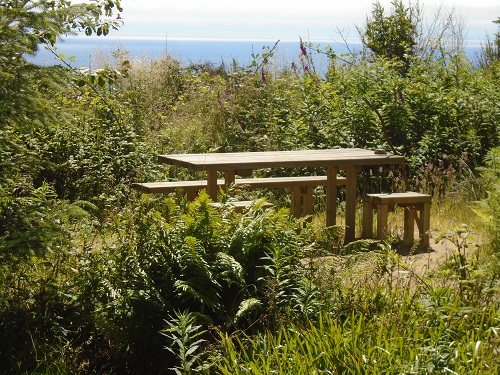 picnic bench