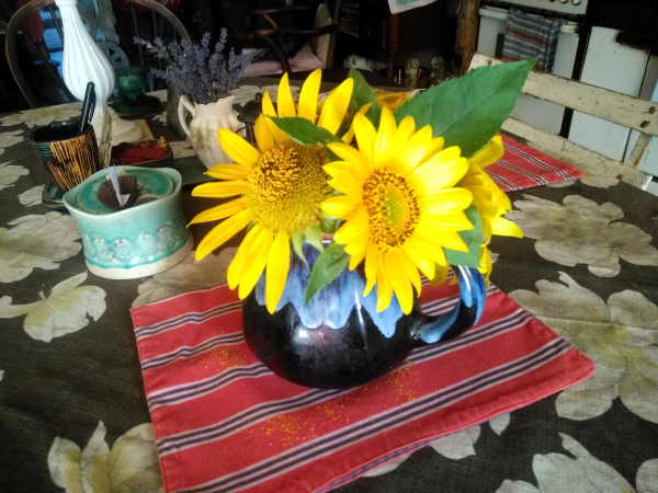 sunflowers fiona