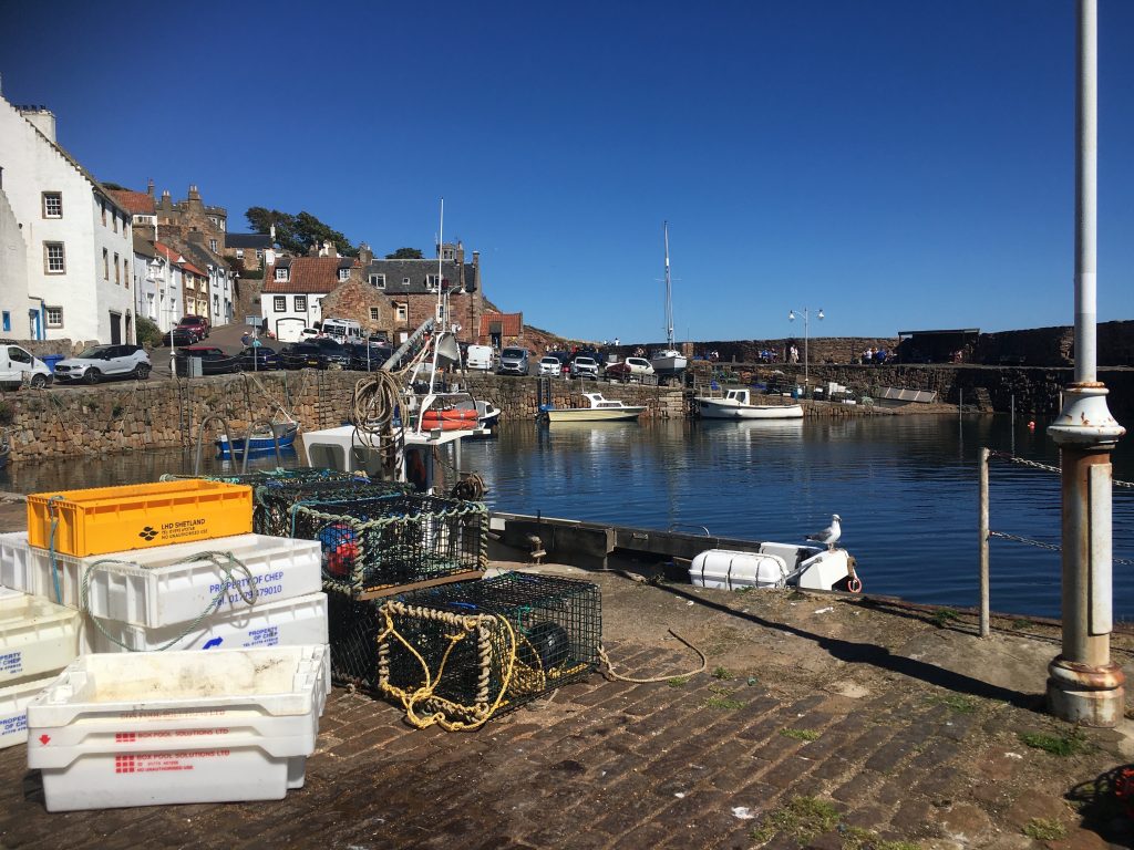 crail harbour 2