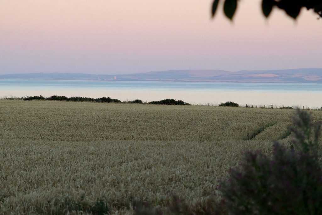 fields east neuk