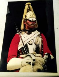 horse guard by barry paton