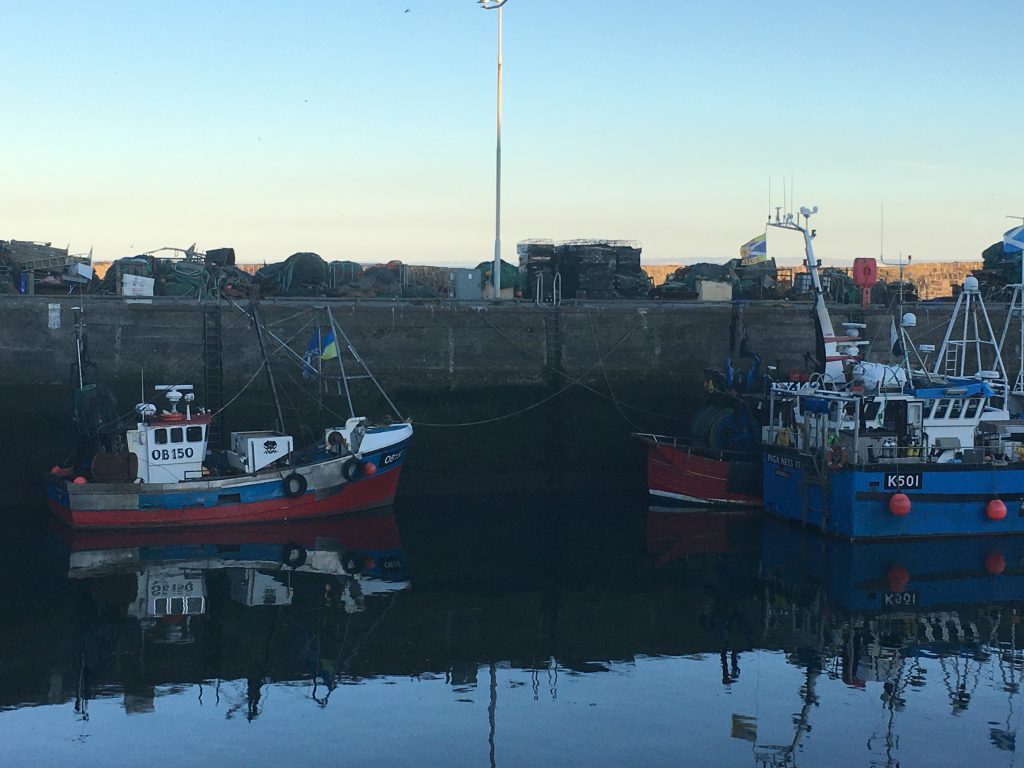pittenweem harbour