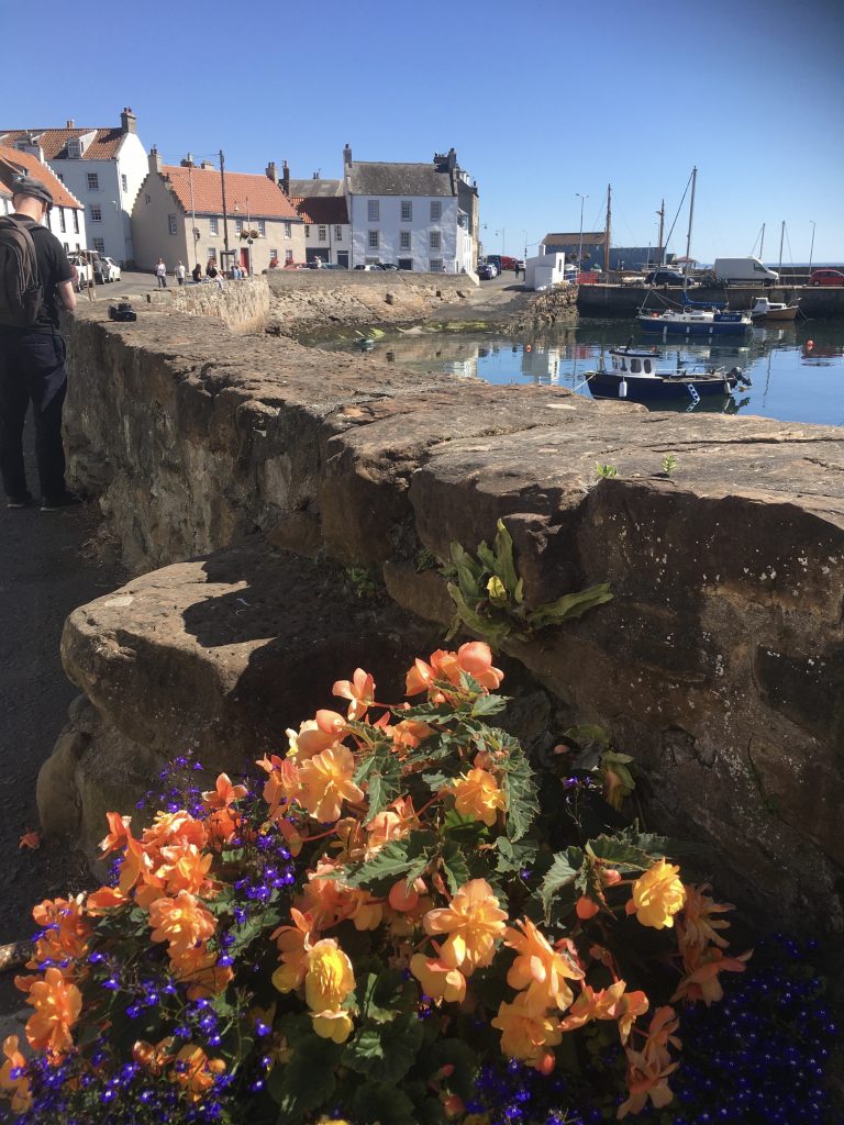 st monans harbour