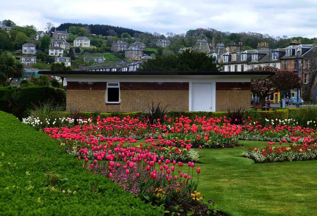 flowers rothesay