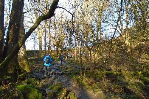 woods dram walk