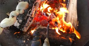 bushcraft skills