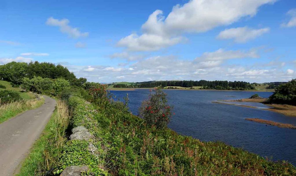 early autumn colours minor road ar Barcraigs Renfrewshire