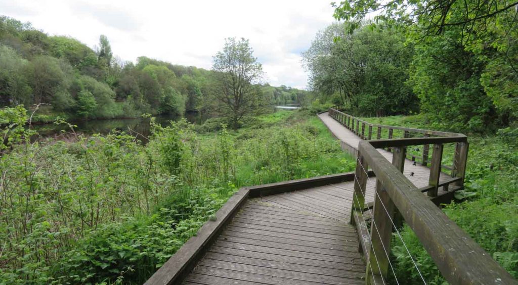 River Clyde Boardwalk Trail Cuningar Loop Park