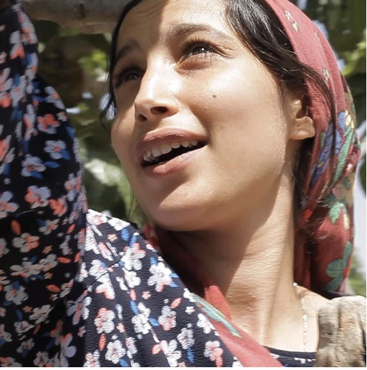 Under the Fig Tree Glasgow West End