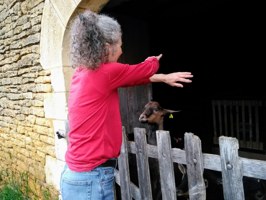 florence and goats
