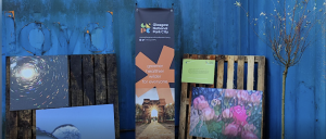 glasgow national park city