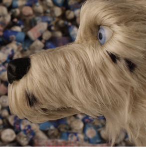 Isle of dogs