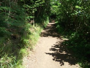 Lighthouse path