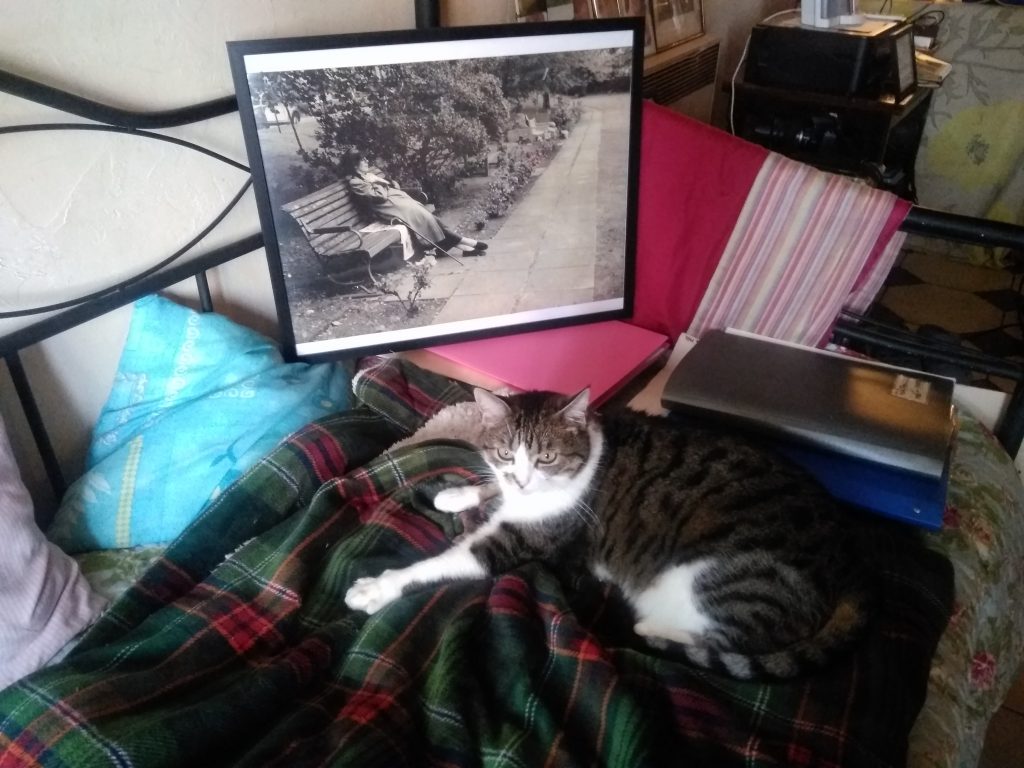 missy and the photos