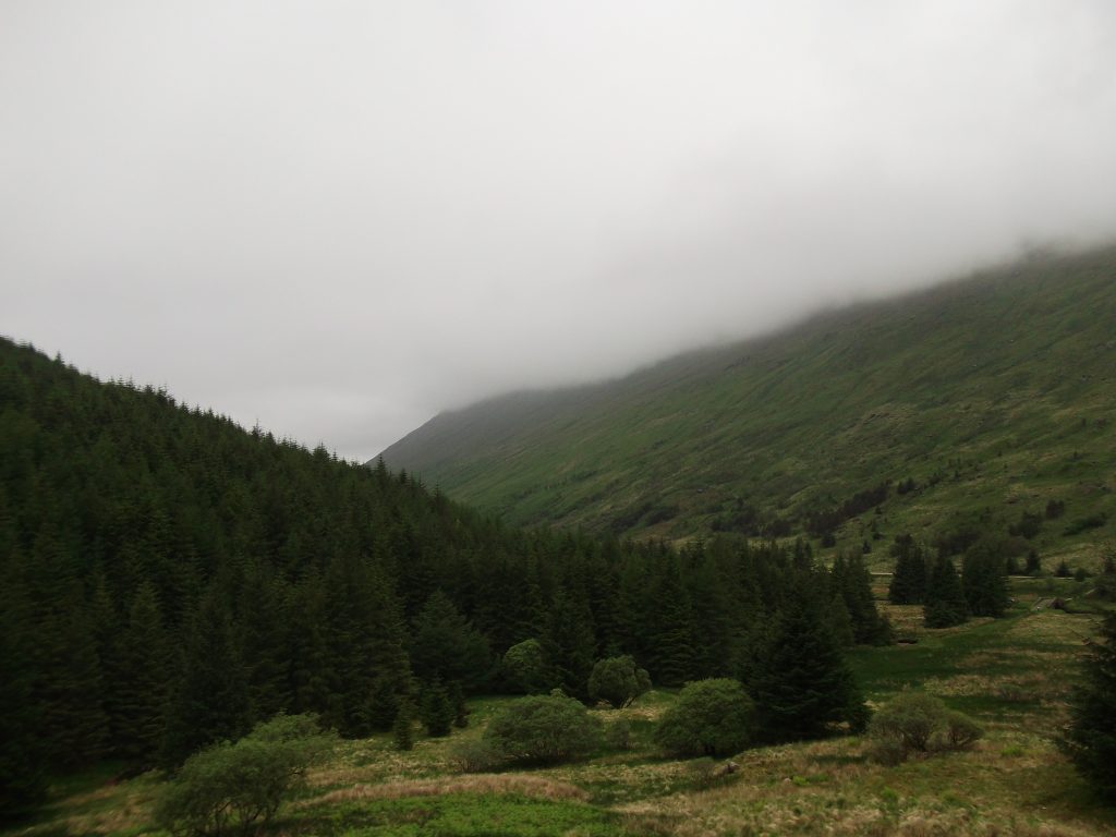 mist in the glen