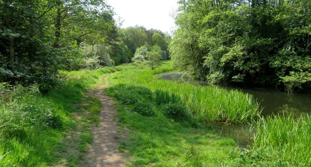 A Grass Path. Dams to Darnley Country Park