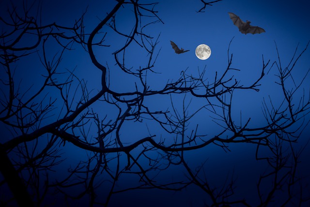 bats