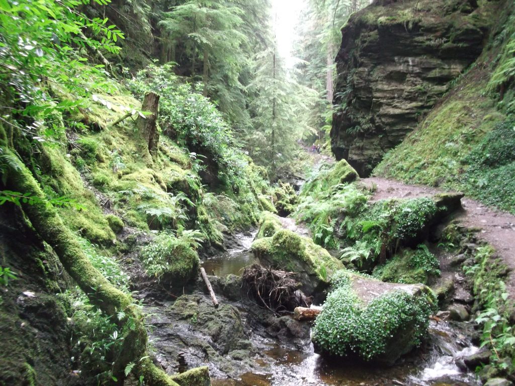 Puck's Glen