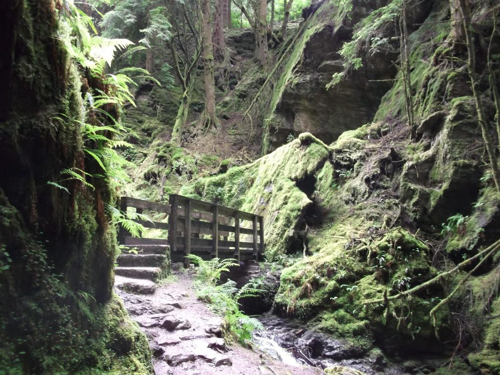 Puck's Glen