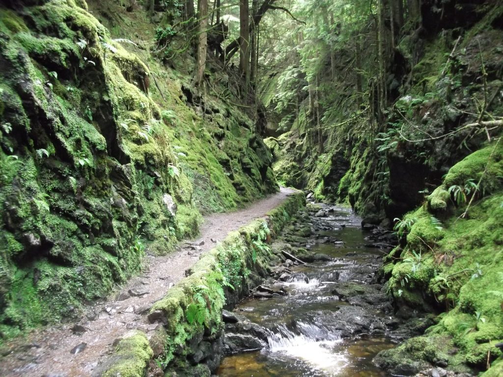 Pucks Glen