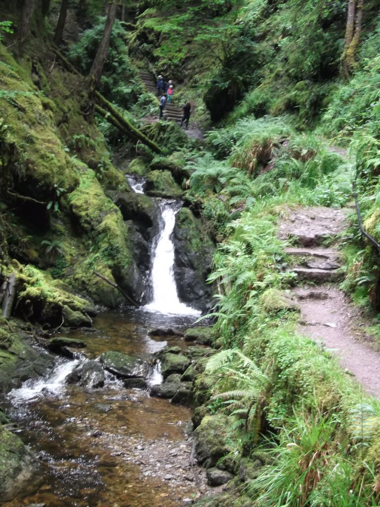 People Puck's Glen