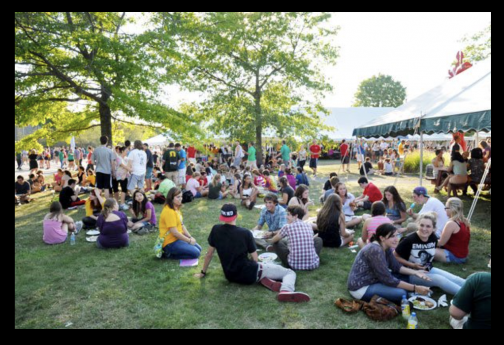 big social picnic