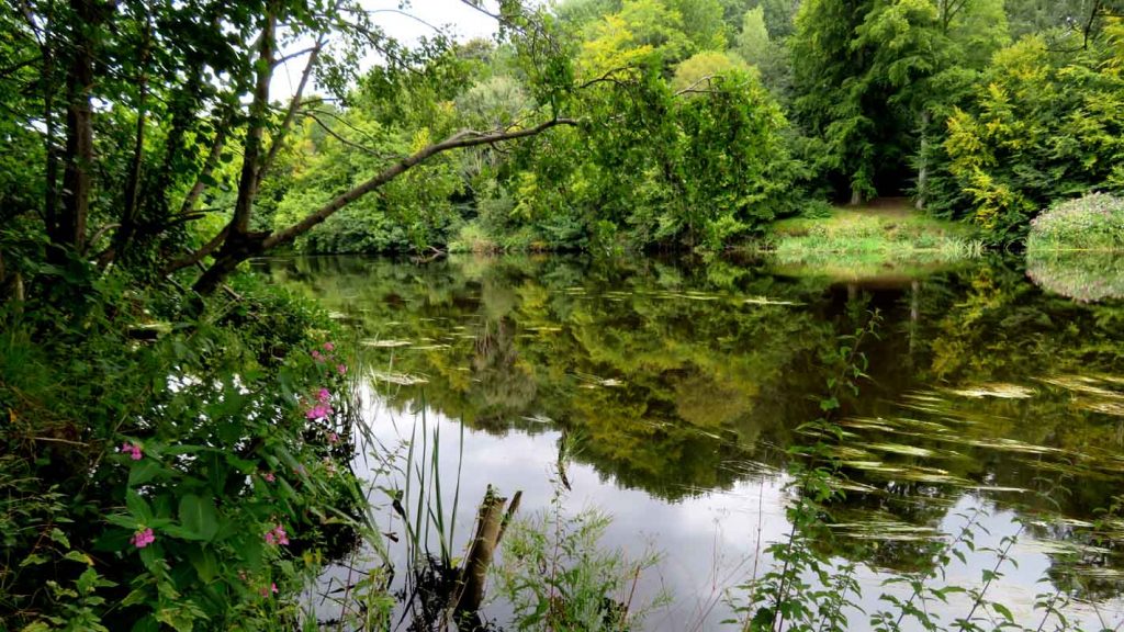 The River Clyde near Bothwell