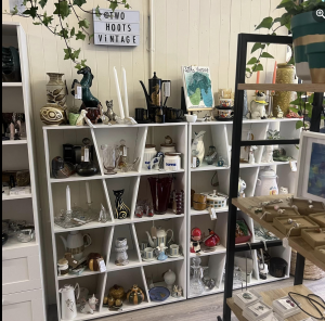 plantique planrs homewares