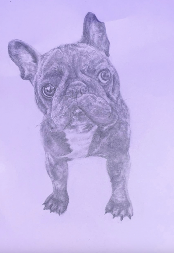 wee dog by Freya