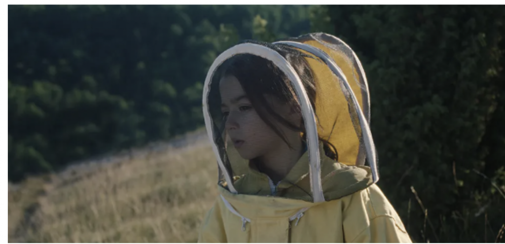 20000 species of bees