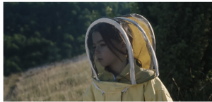 20000 species of bees