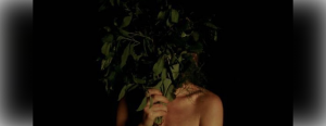 smoke sauna