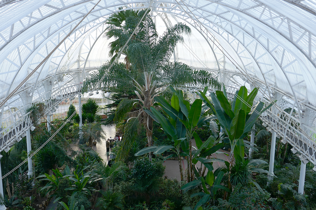 winter gardens
